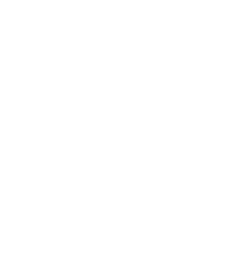 Adance Ticket